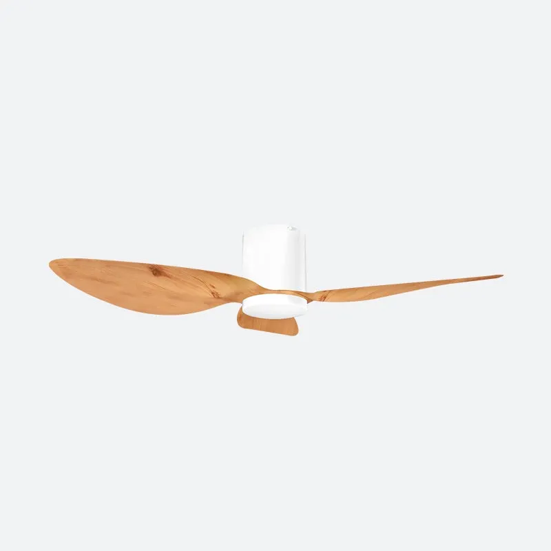 ASER Scandinavian Decor Fans (T5F/NLO)