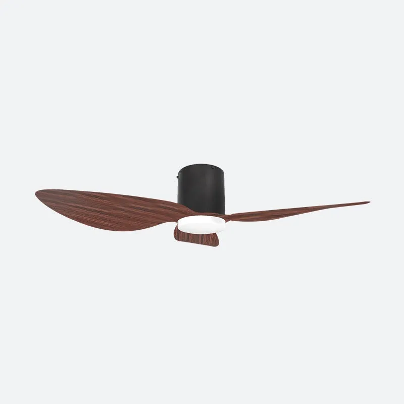 ASER Scandinavian Decor Fans (T5F/NLO)