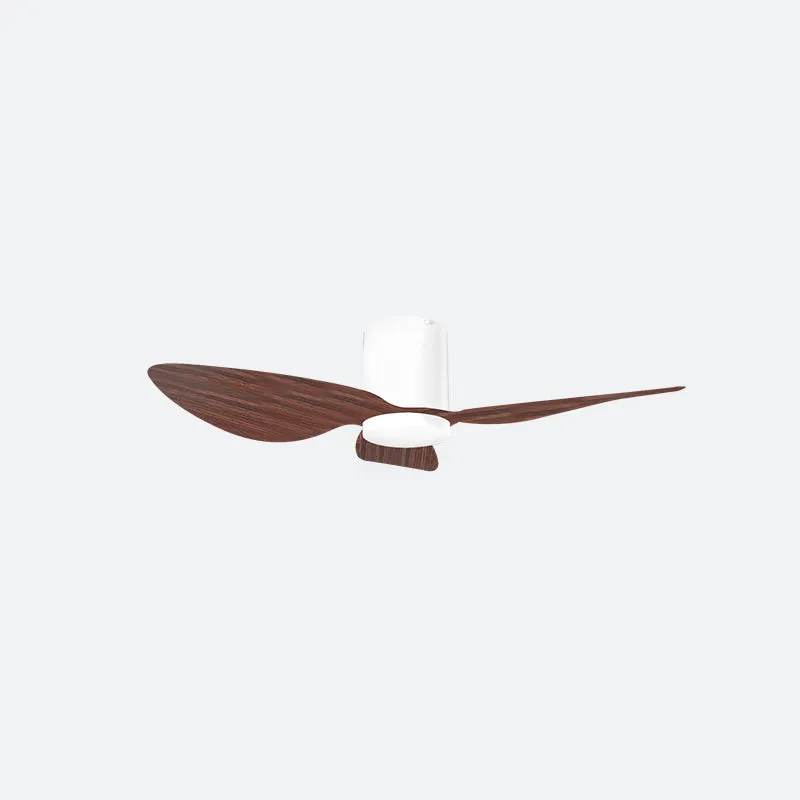 ASER Scandinavian Decor Fans (T5F/NLO)