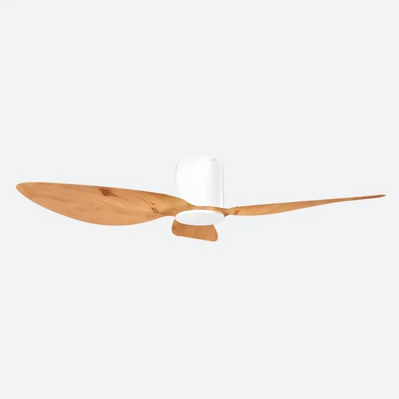 ASER Scandinavian Decor Fans (T5F/NLO)