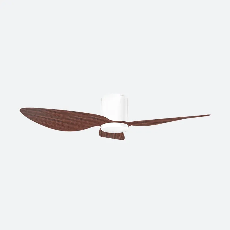 ASER Scandinavian Decor Fans (T5F/NLO)