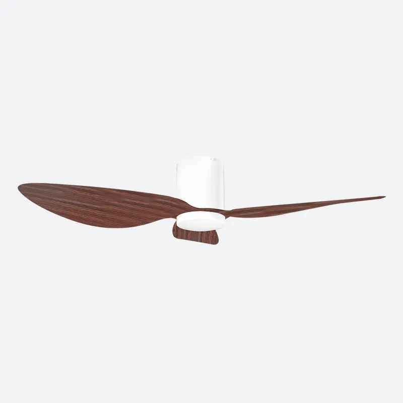 ASER Scandinavian Decor Fans (T5F/NLO)