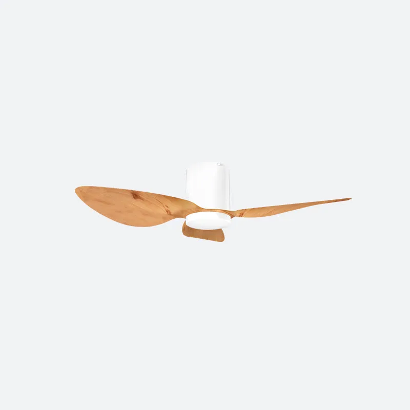 ASER Scandinavian Decor Fans (T5F/NLO)