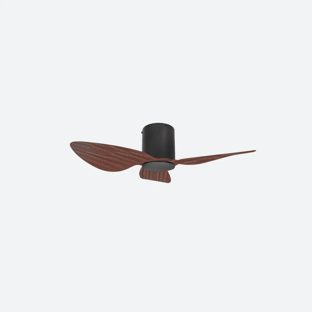 ASER Scandinavian Decor Fans (T5F/NLO)