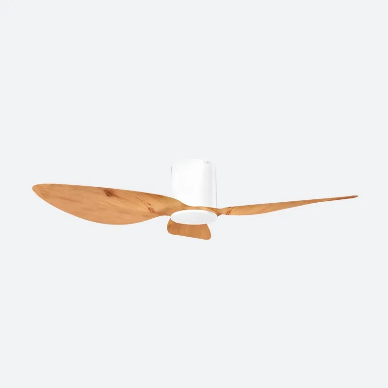 ASER Scandinavian Decor Fans (T5F/NLO)