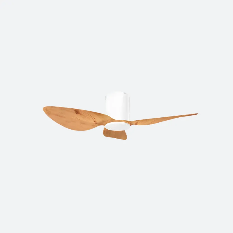 ASER Scandinavian Decor Fans (T5F/NLO)