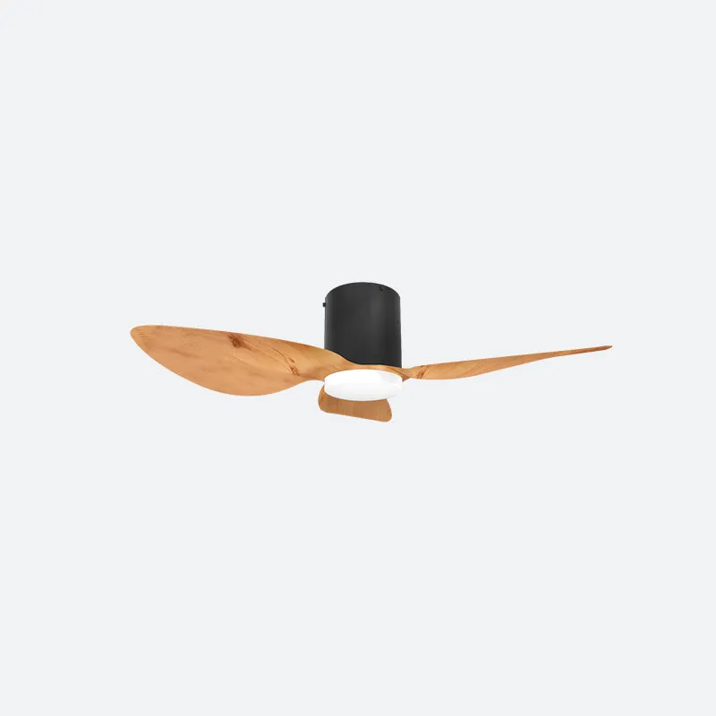 ASER Scandinavian Decor Fans (T5F/NLO)