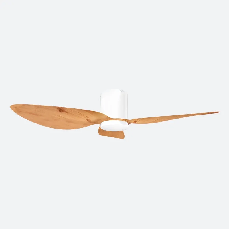 ASER Scandinavian Decor Fans (T5F/NLO)