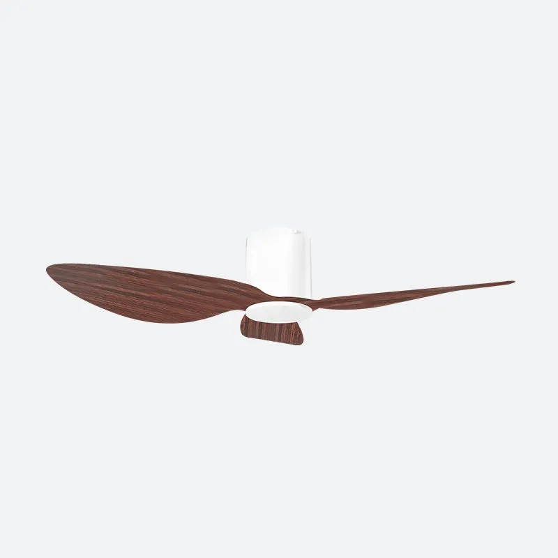 ASER Scandinavian Decor Fans (T5F/NLO)