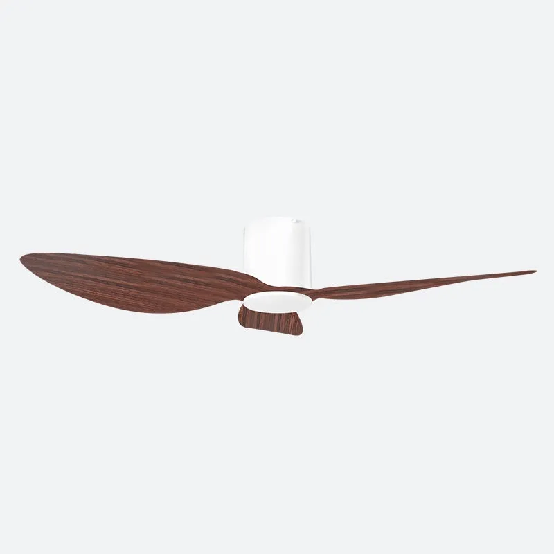 ASER Scandinavian Decor Fans (T5F/NLO)