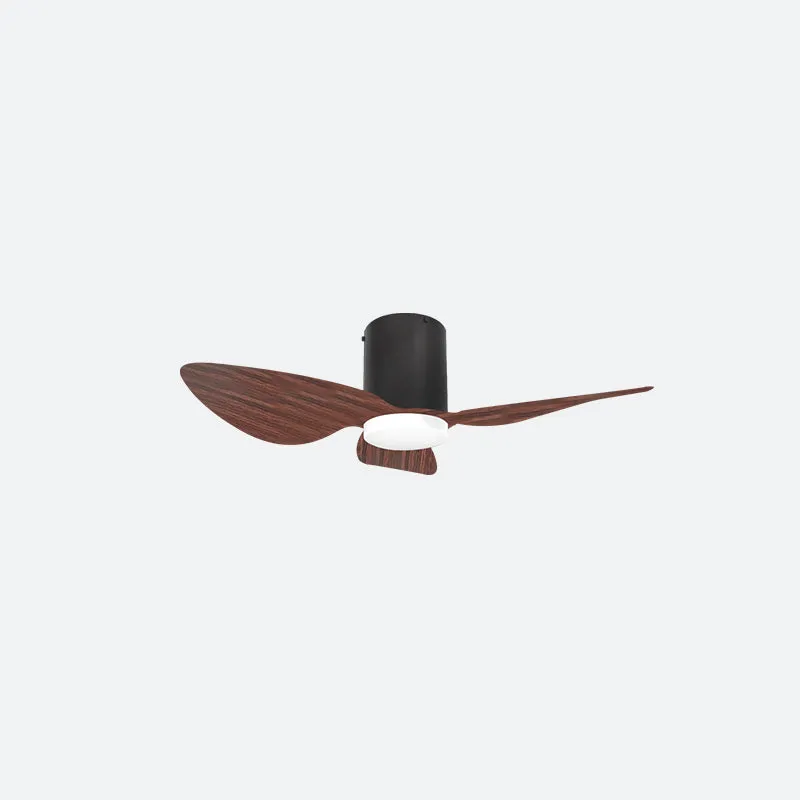 ASER Scandinavian Decor Fans (T5F/NLO)