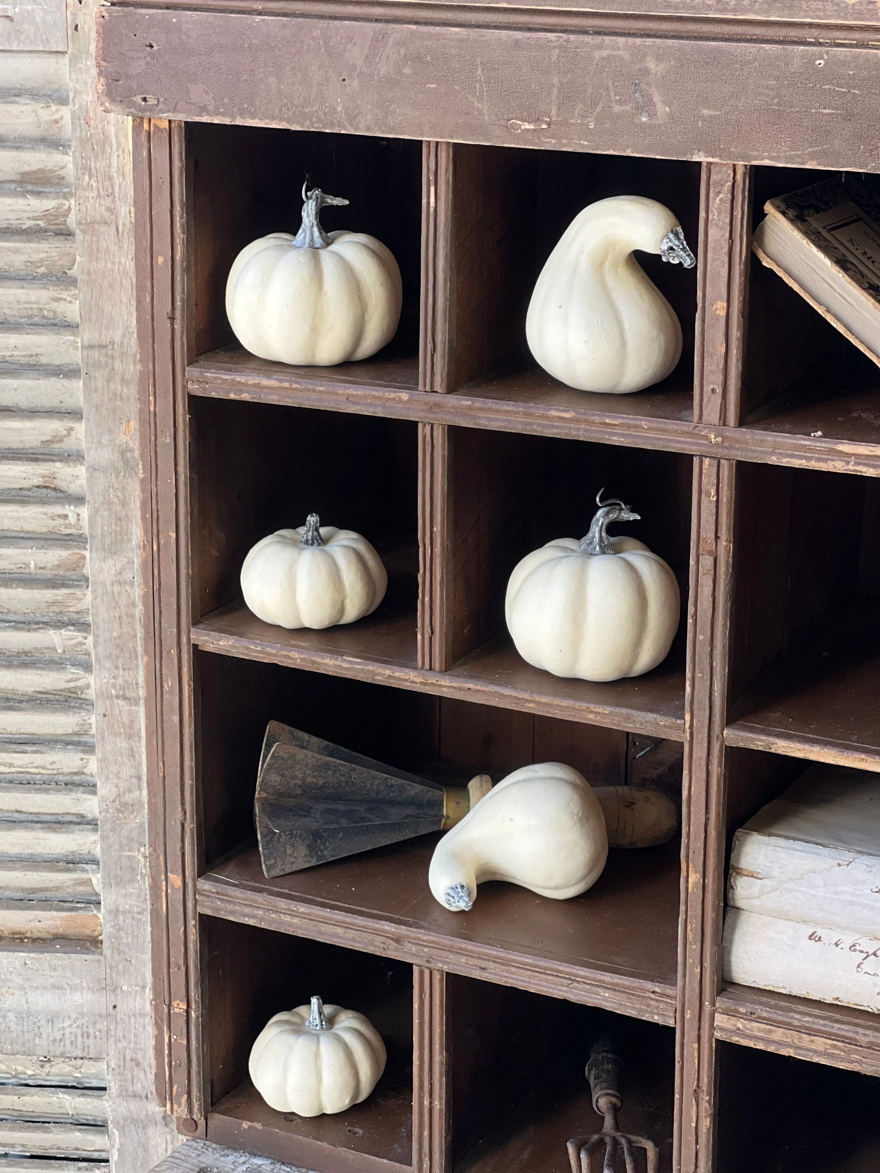 Bagged Fall's Folly Mini Pumpkins | CASE PACK SPECIAL!  $4.50-72