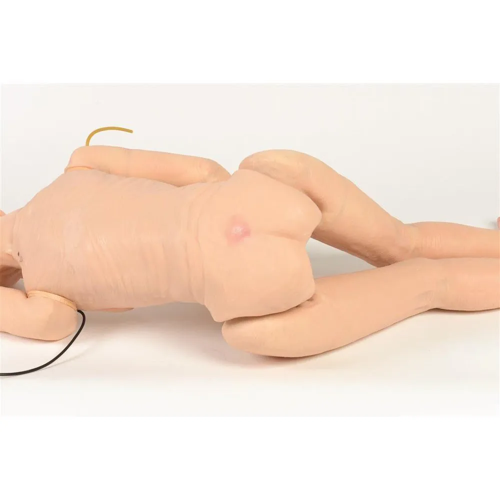 Basic TERi™ Geriatric Patient Care Trainer with Chest Compression