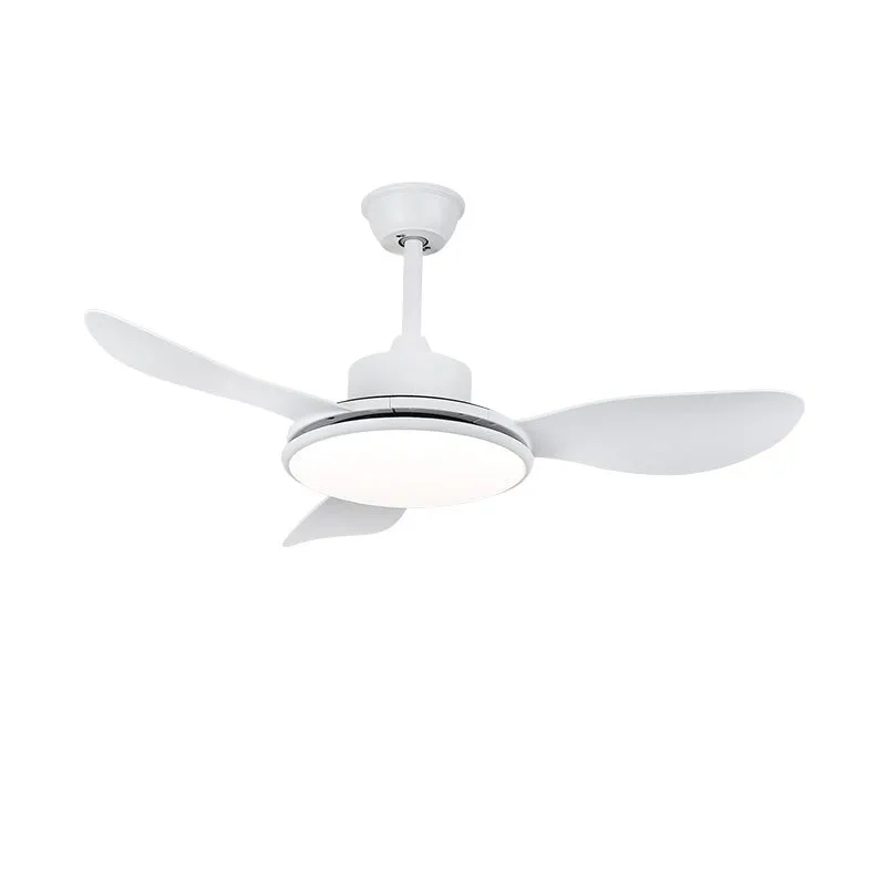 Brinley 48"/52" Ceiling Fan Light