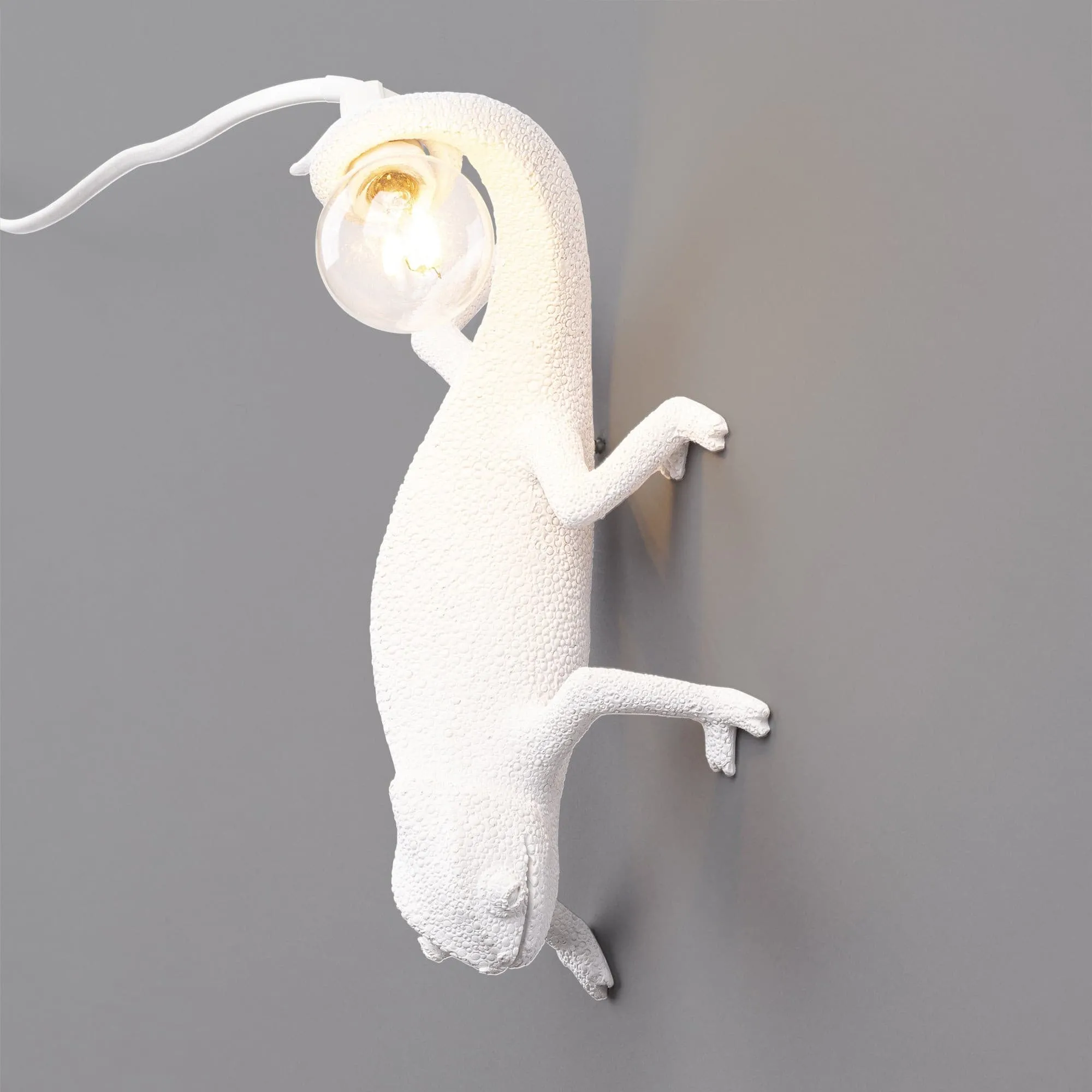 Chameleon Wall Lamp