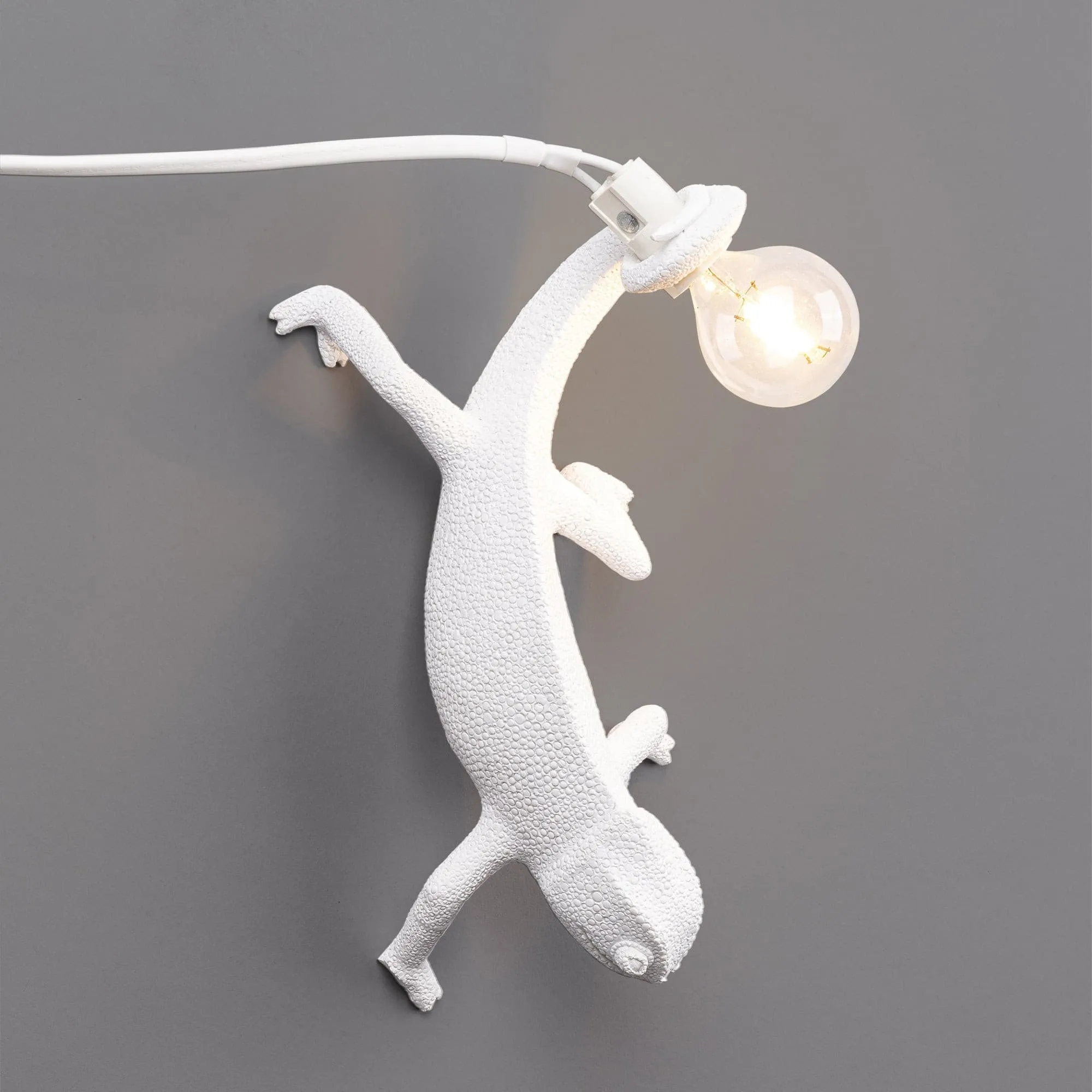 Chameleon Wall Lamp