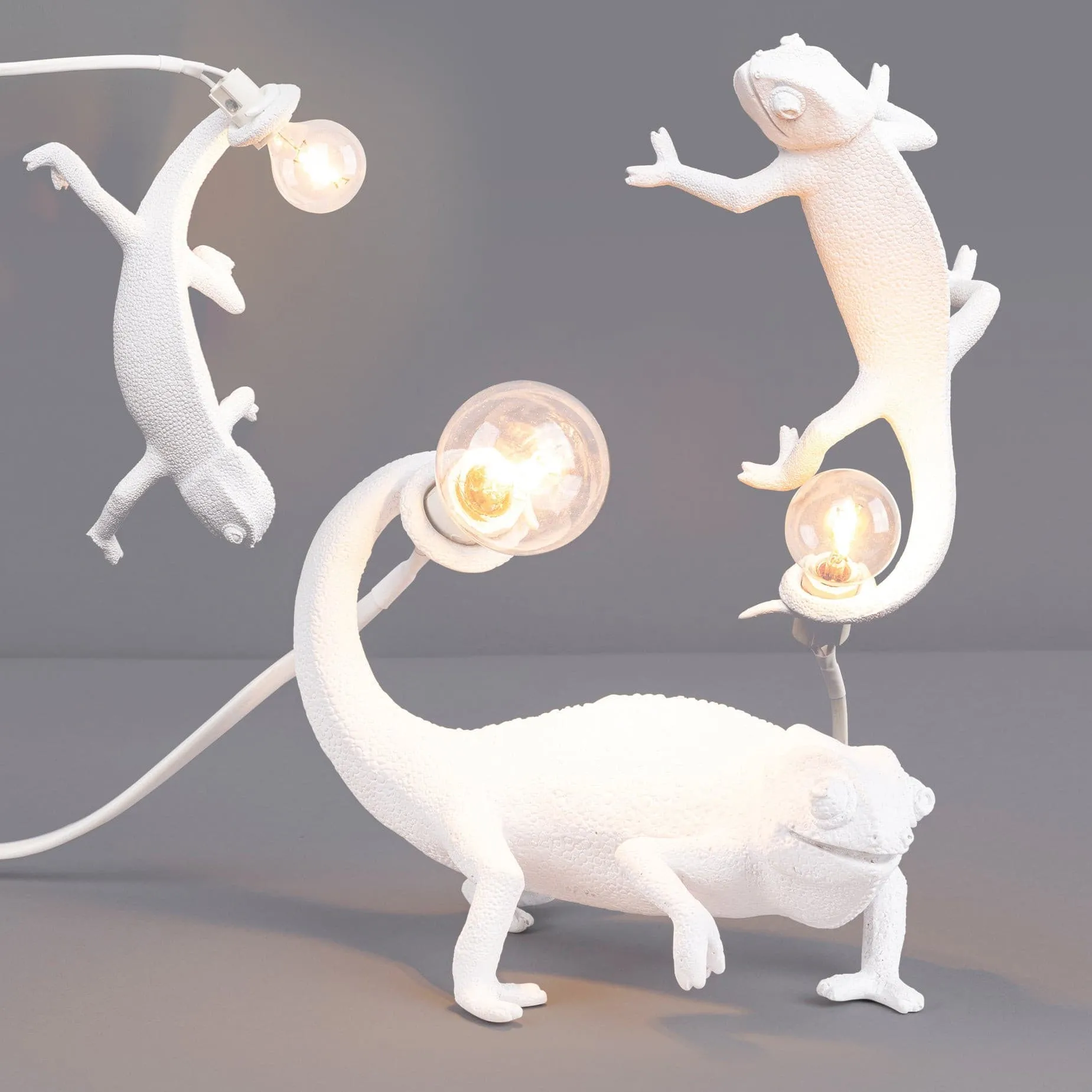 Chameleon Wall Lamp