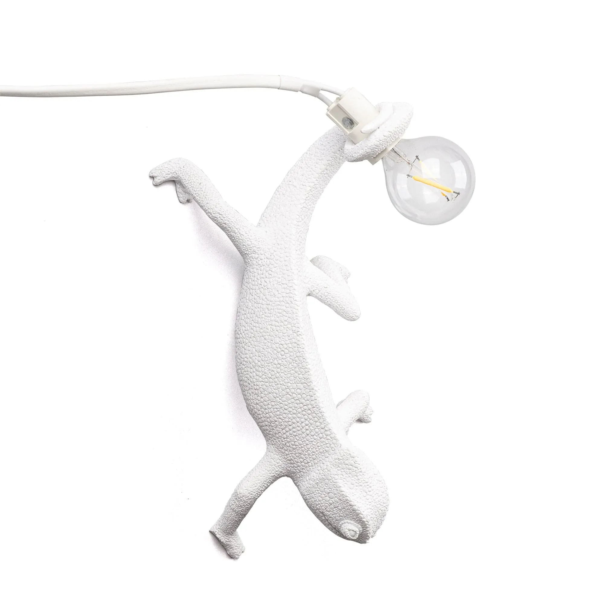 Chameleon Wall Lamp