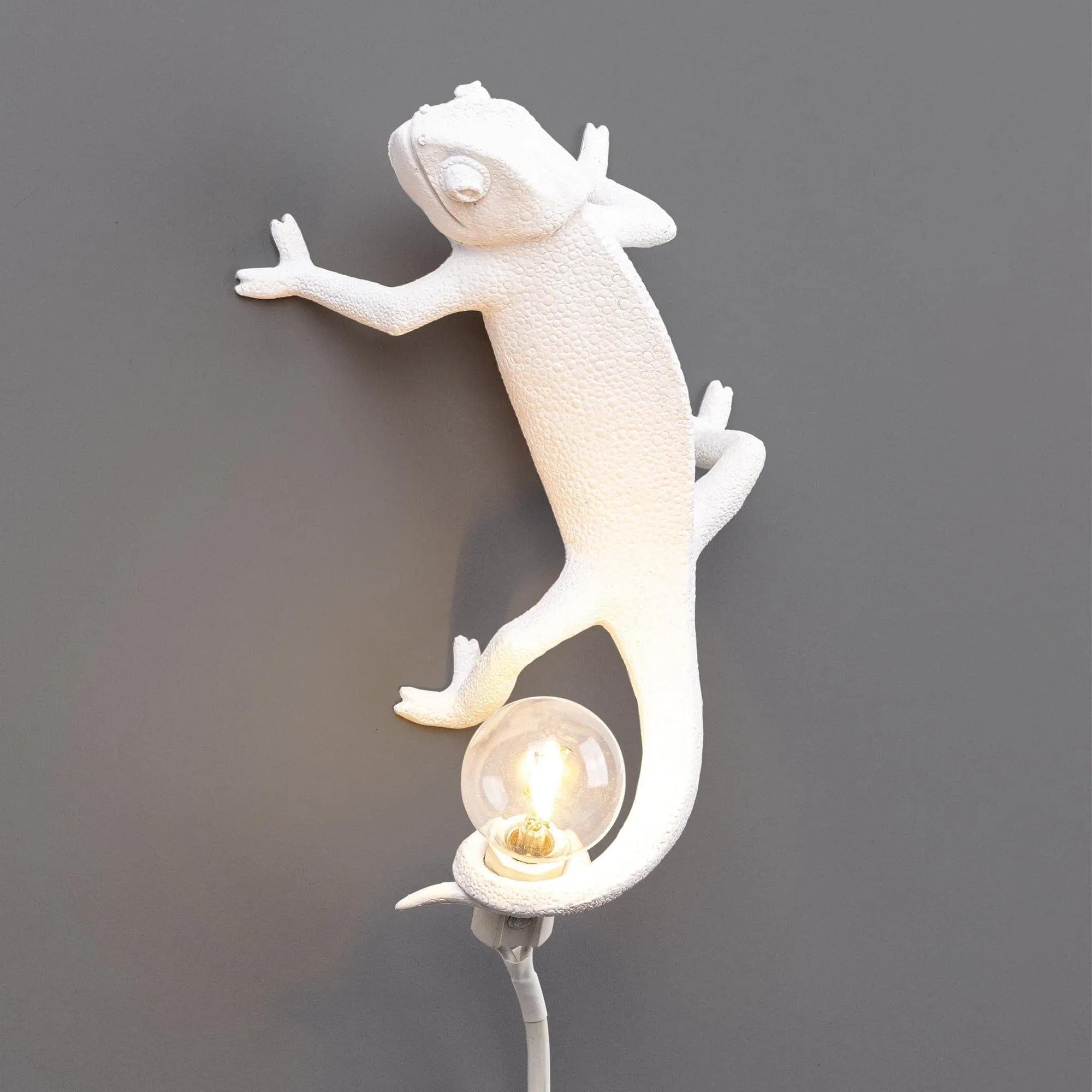 Chameleon Wall Lamp