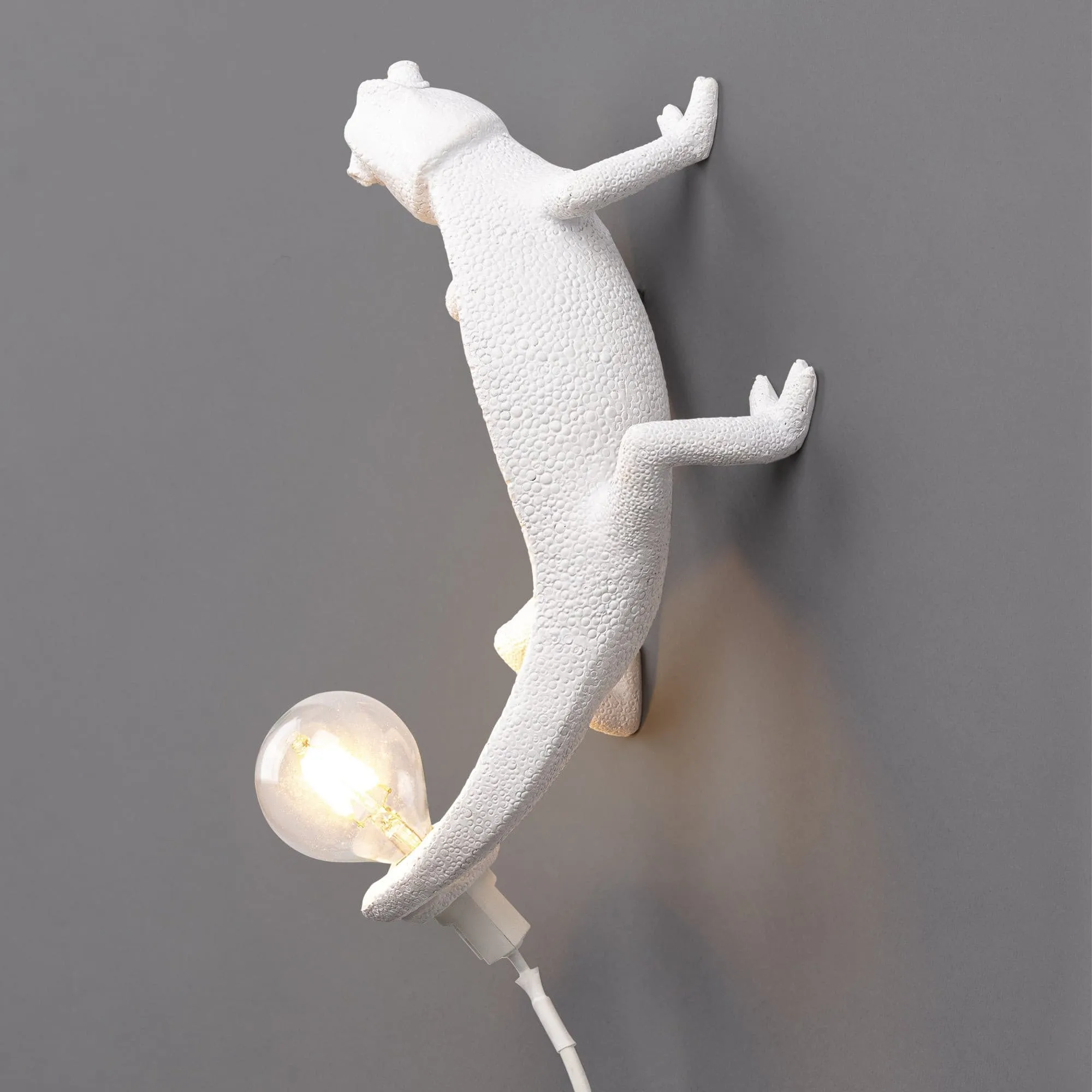 Chameleon Wall Lamp