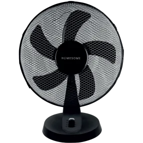 Desk Fan