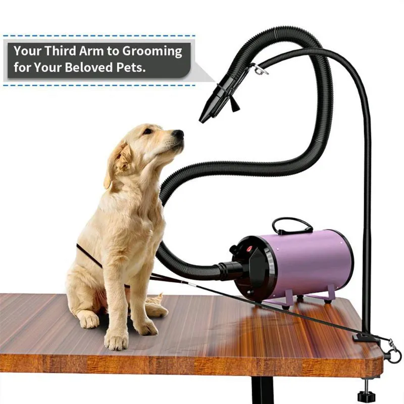 Dual-Use Pet Hair Dryer