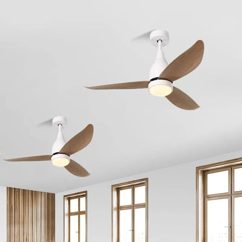 Hanzlik | Lighted Ceiling Fan