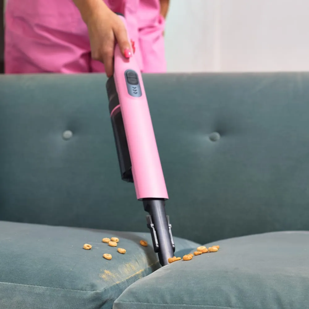 Lynsey's Cleaning Range - Cordless Handheld Vacuum