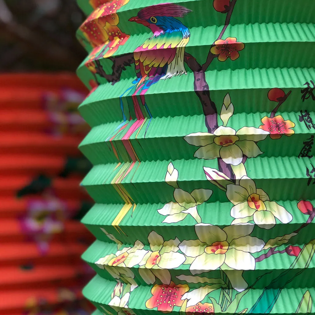 Massive Oriental Design Printed 6 Pack mixed corrugated paper lanterns