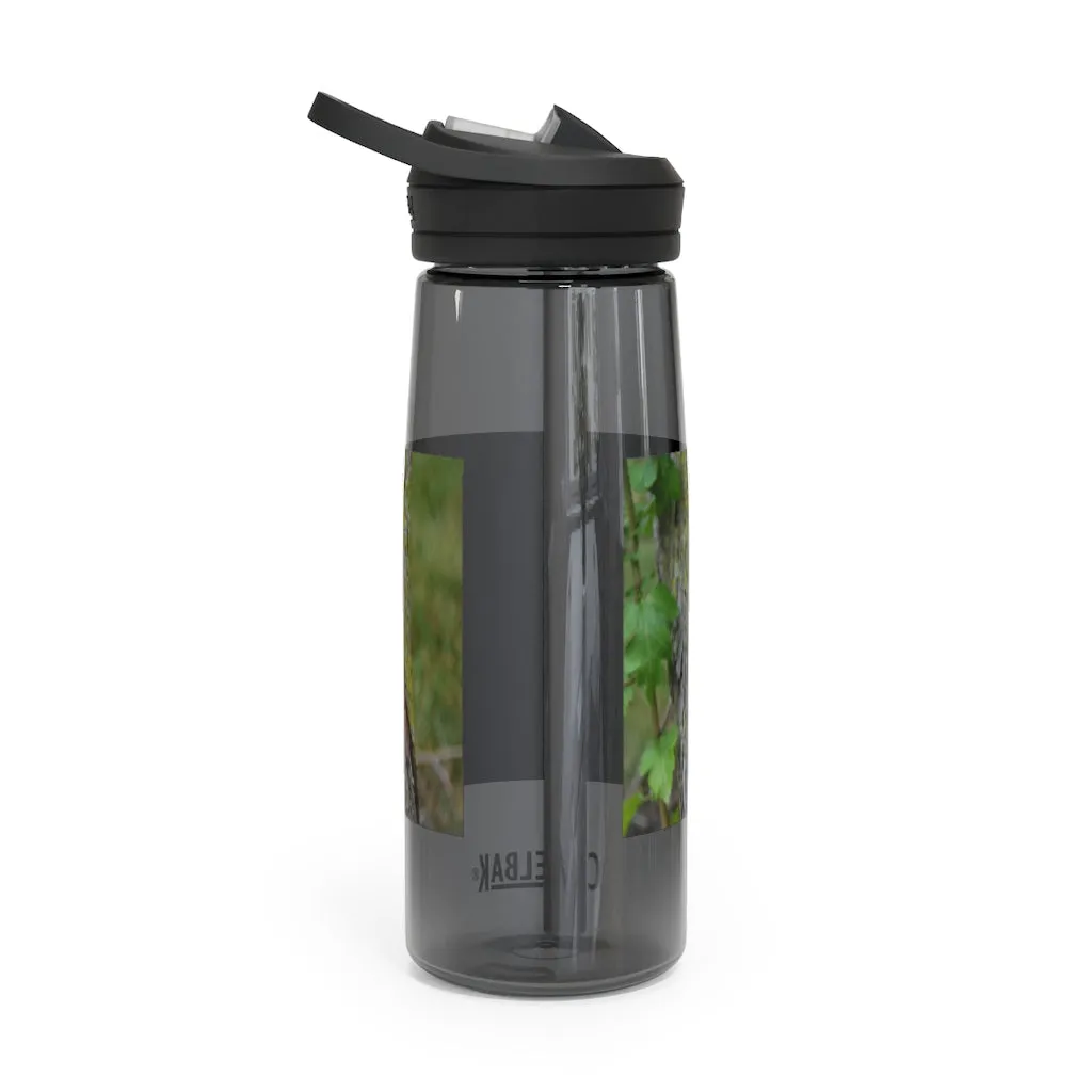 Tree Stump CamelBak Eddy®  Water Bottle, 20oz / 25oz