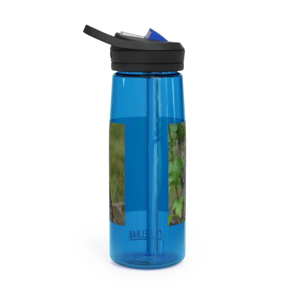 Tree Stump CamelBak Eddy®  Water Bottle, 20oz / 25oz