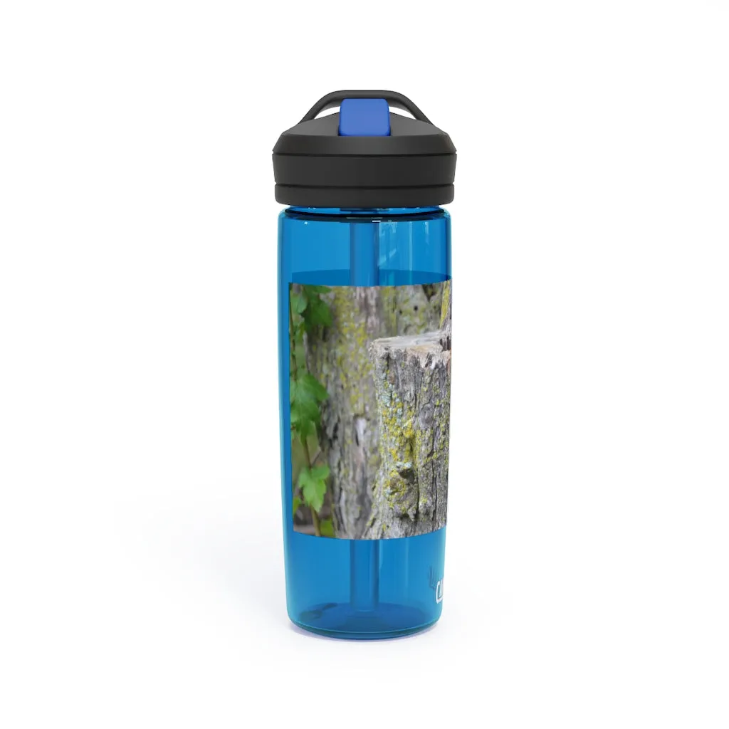 Tree Stump CamelBak Eddy®  Water Bottle, 20oz / 25oz