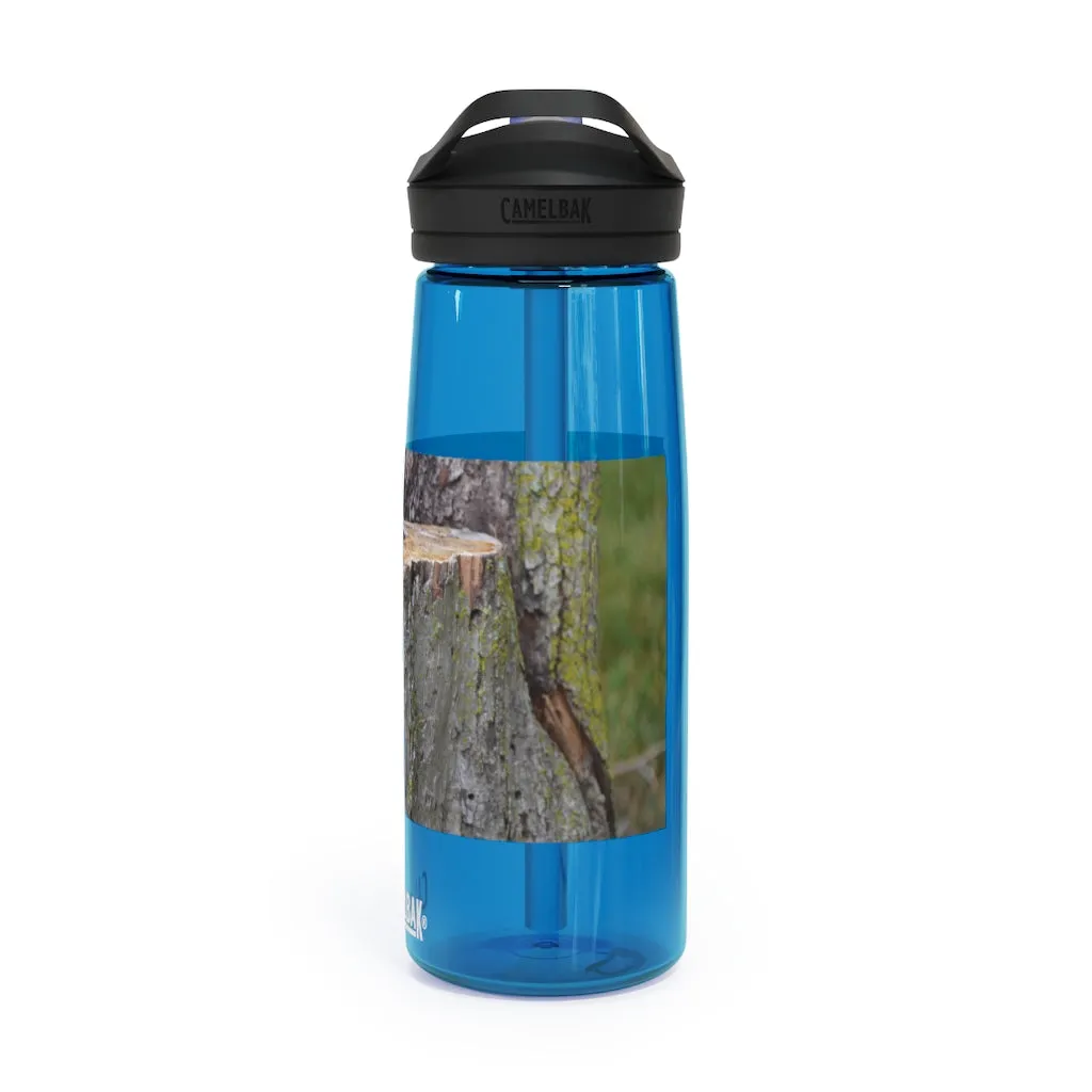 Tree Stump CamelBak Eddy®  Water Bottle, 20oz / 25oz