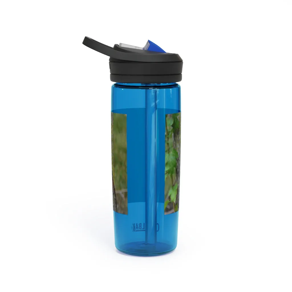 Tree Stump CamelBak Eddy®  Water Bottle, 20oz / 25oz