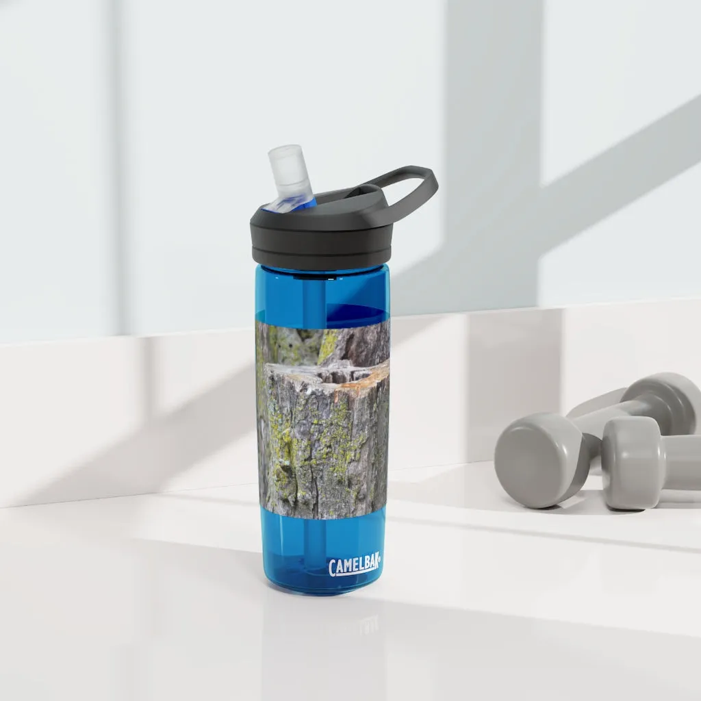 Tree Stump CamelBak Eddy®  Water Bottle, 20oz / 25oz