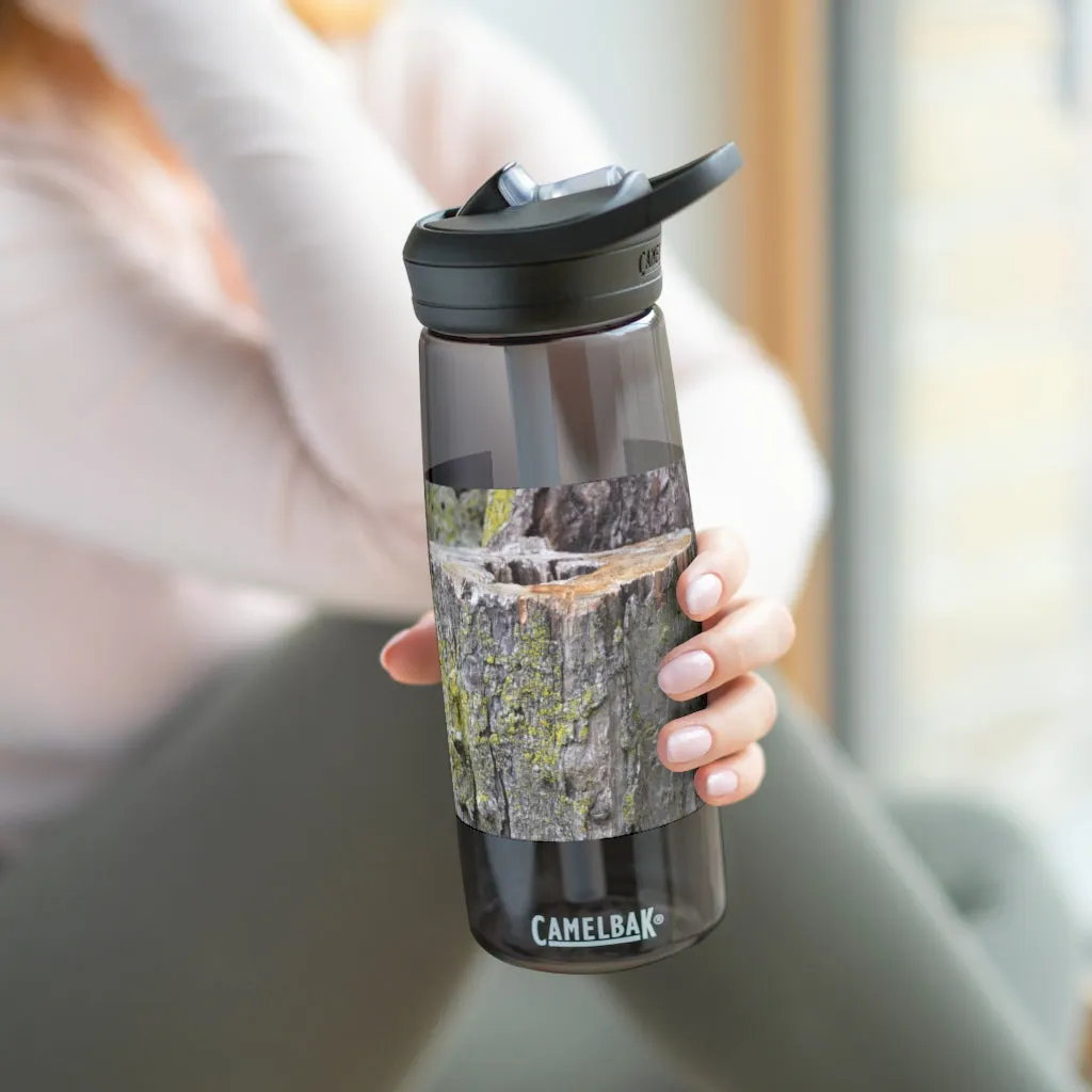 Tree Stump CamelBak Eddy®  Water Bottle, 20oz / 25oz