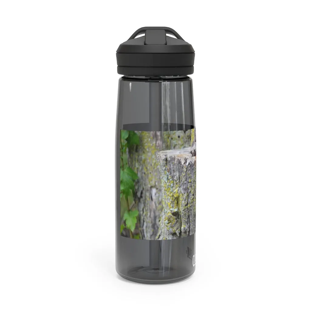 Tree Stump CamelBak Eddy®  Water Bottle, 20oz / 25oz