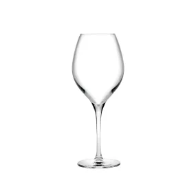 Vinifera Set of 2 Red Wine Glasses 450 cc