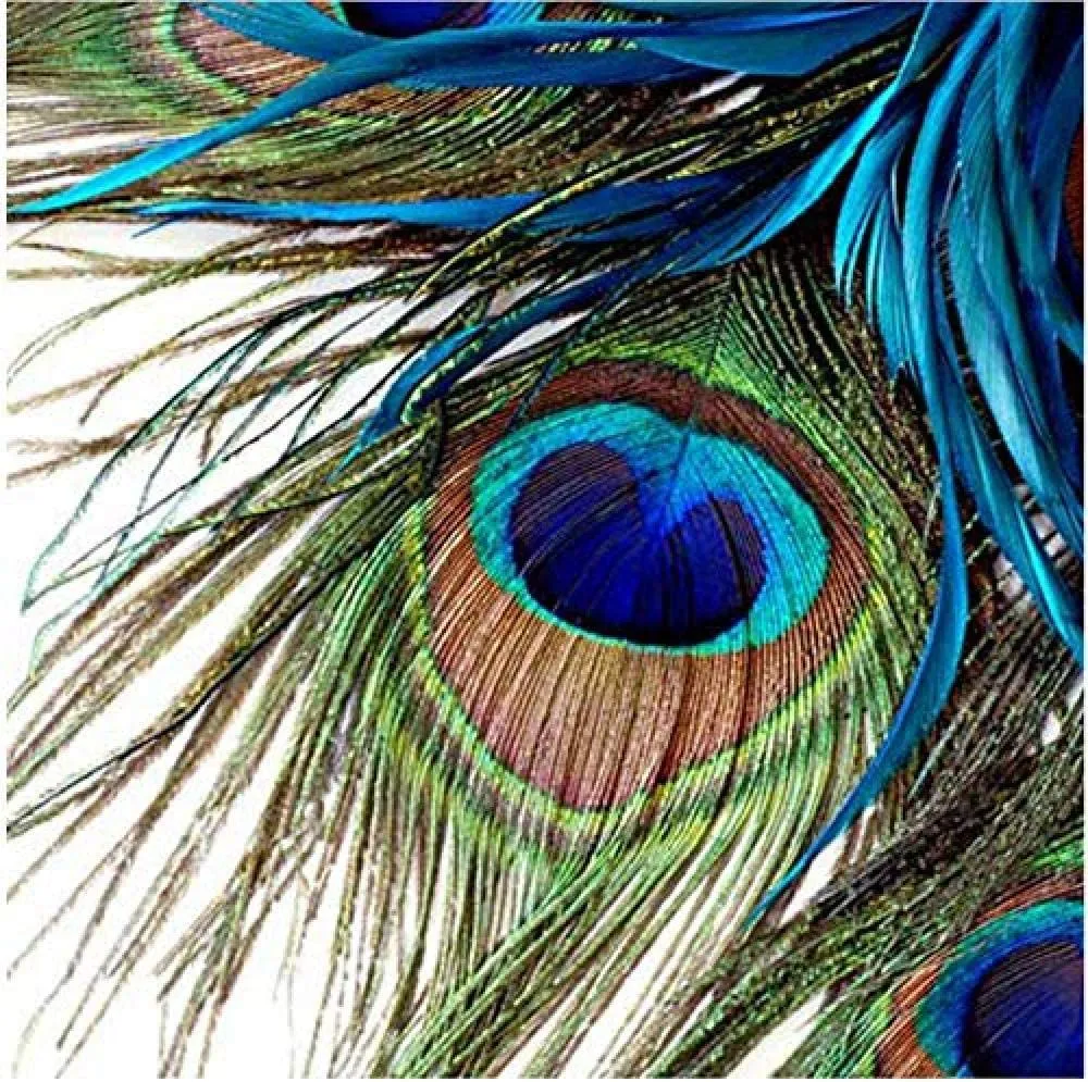 Waterproof Modern Custom 3D Wall Mural Colorful Peacock T-280X200Cm